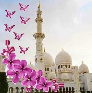 Meet your Posher, Barbara